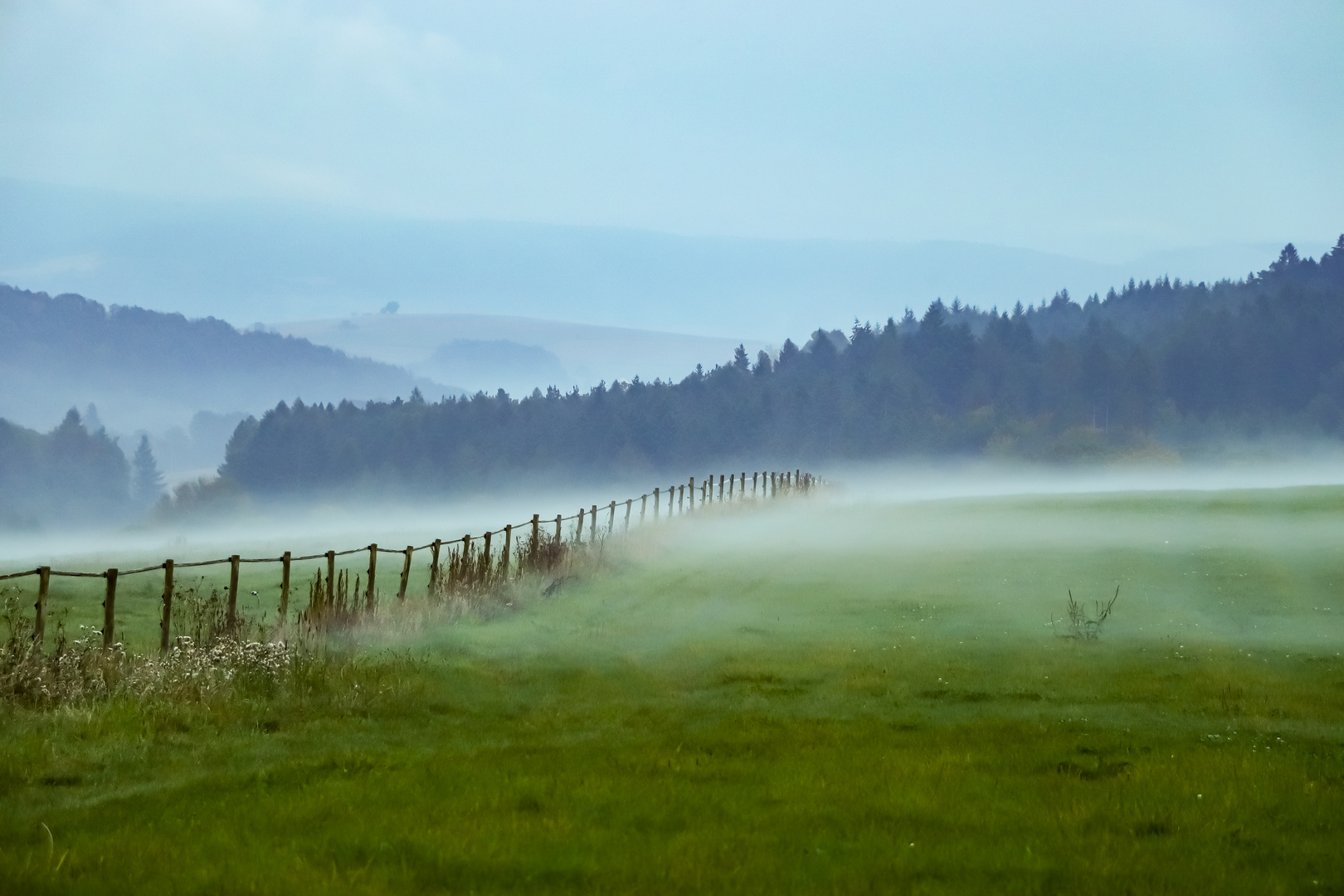 Abendnebel