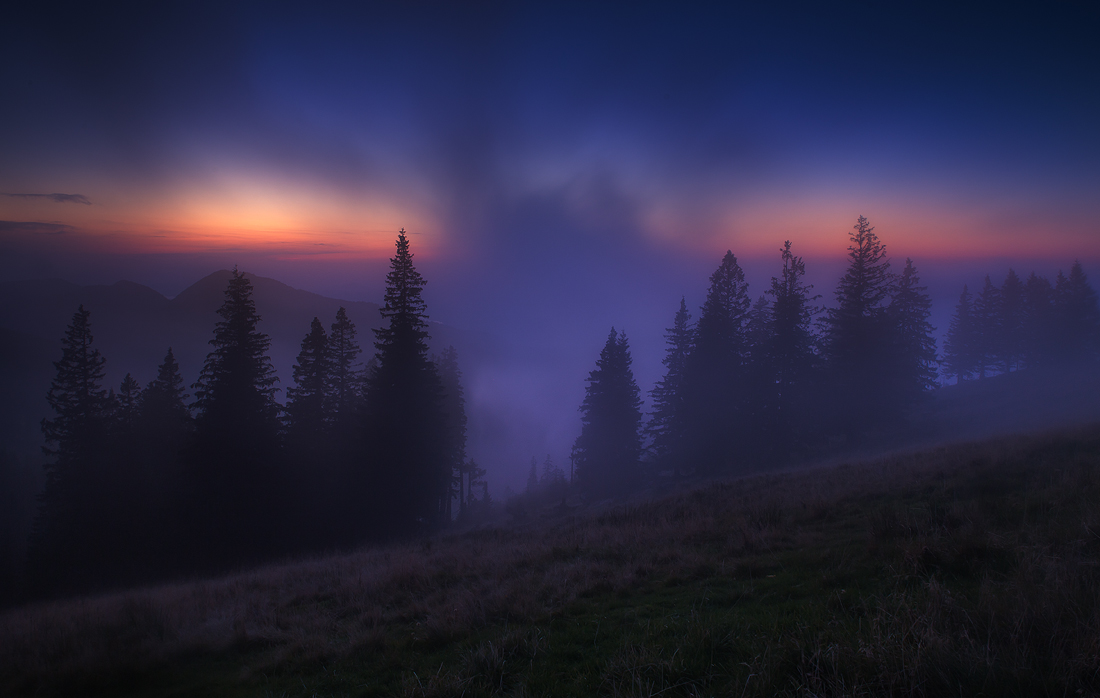 abendnebel