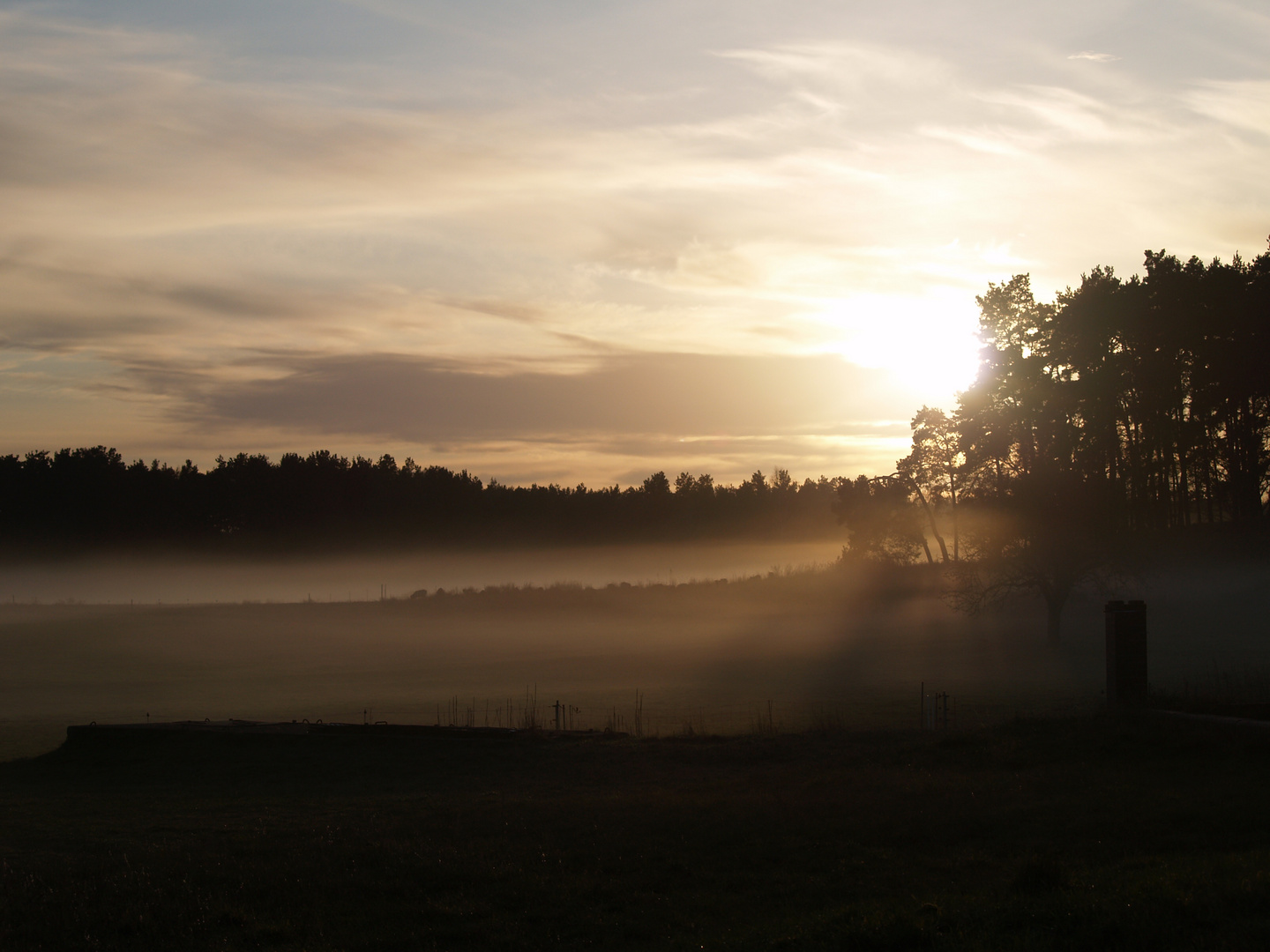 Abendnebel