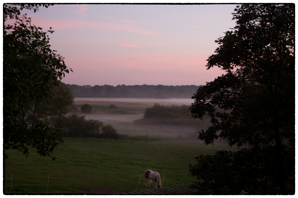 Abendnebel......