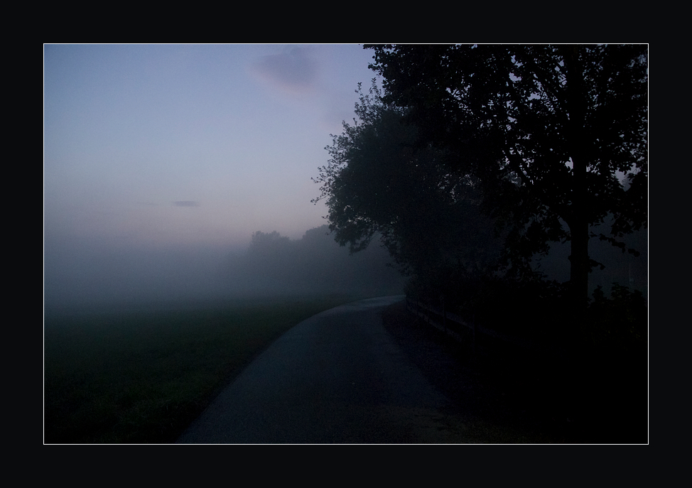 Abendnebel