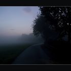 Abendnebel