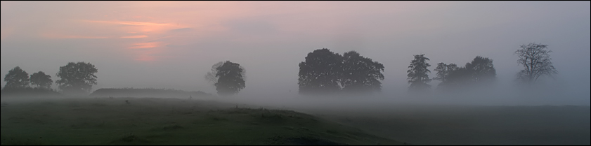 Abendnebel