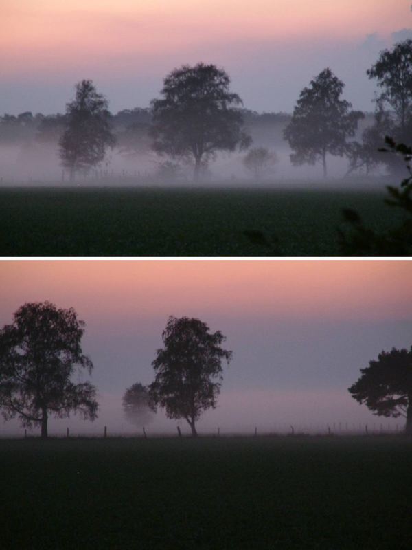 AbendNebel