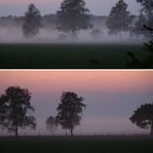 AbendNebel