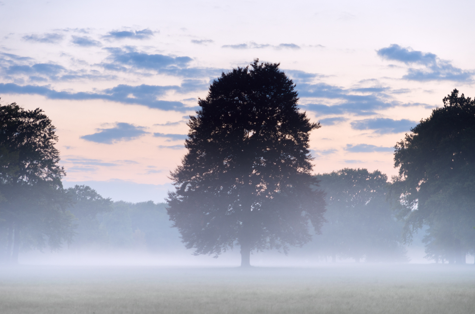 Abendnebel...