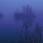 Abendnebel am Hemminger Kiesteich