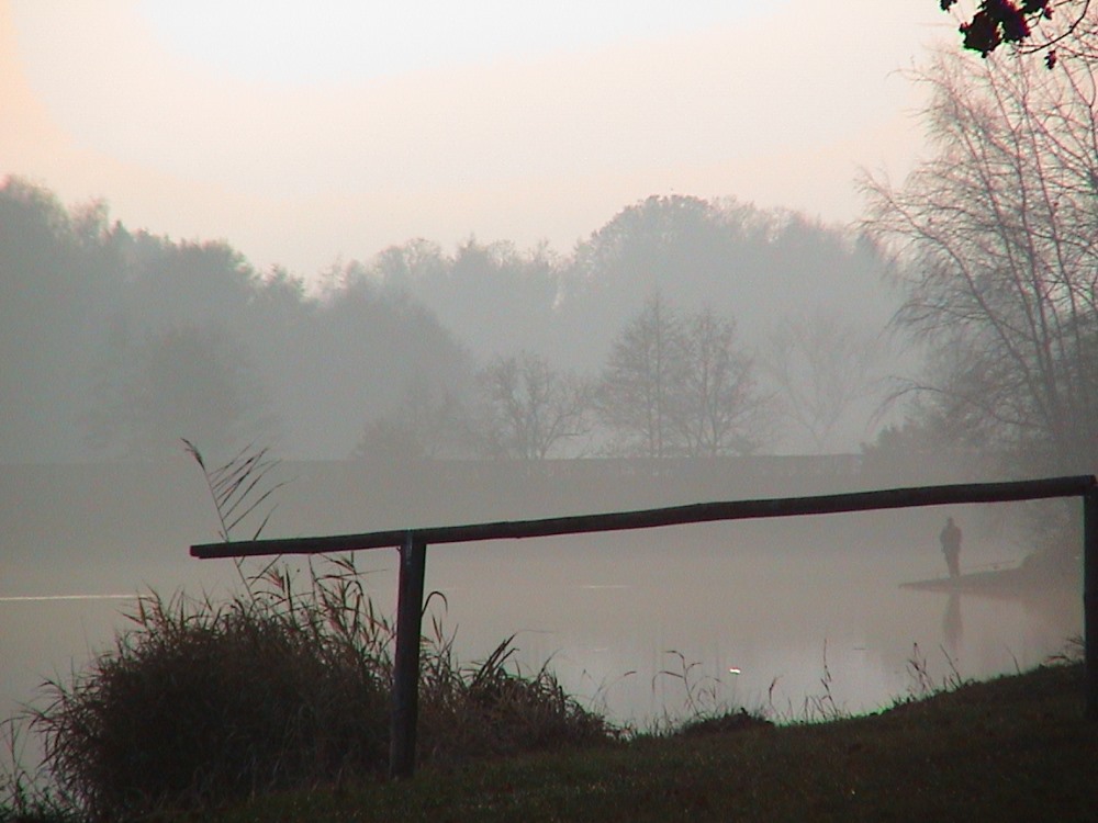 Abendnebel am See