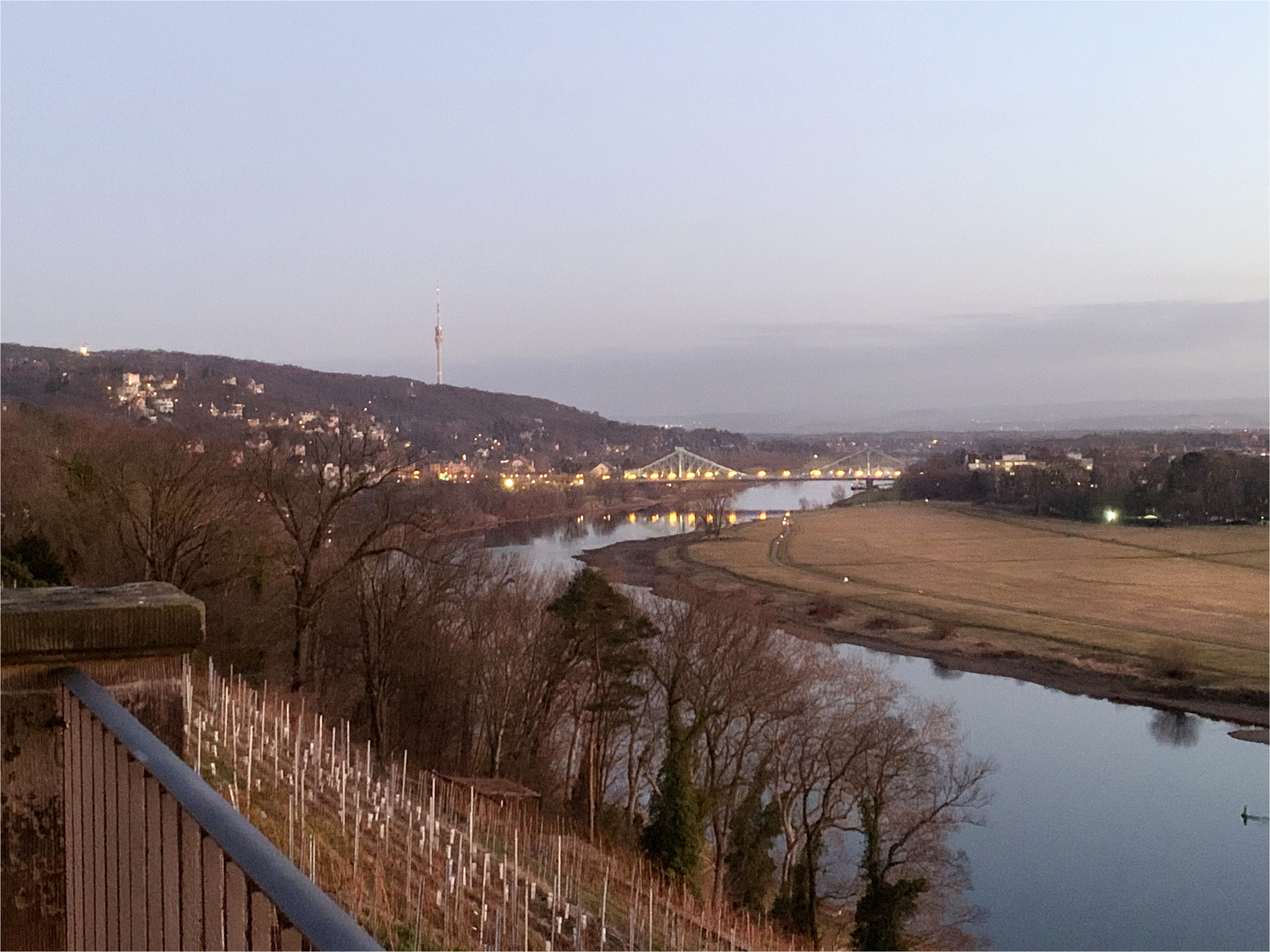 Abendnebel an der Elbe, Spiegelung am 03.03.2020,