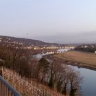 Abendnebel an der Elbe, Spiegelung am 03.03.2020,