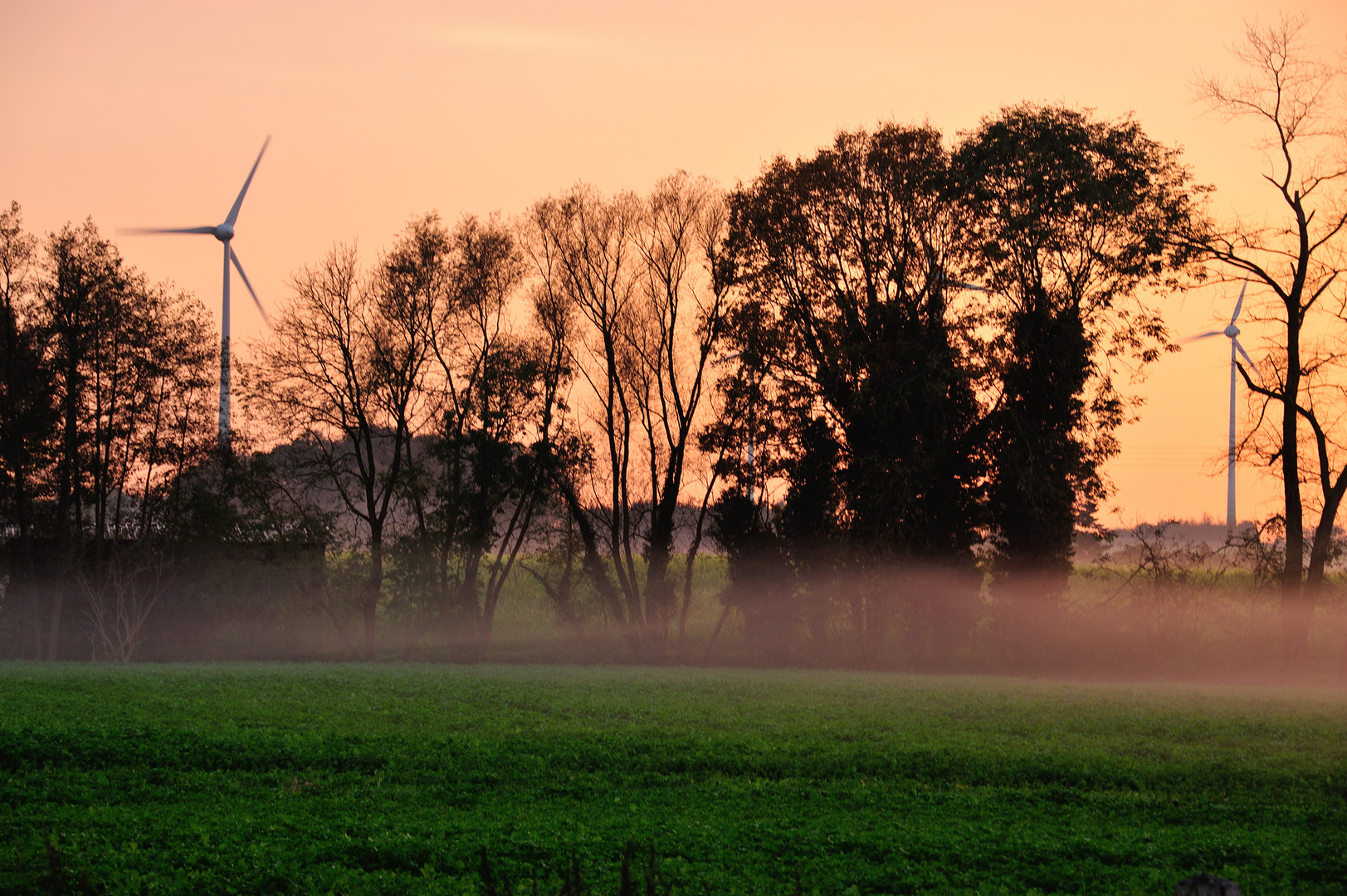 Abendnebel auf dem Land