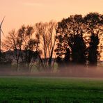 Abendnebel auf dem Land