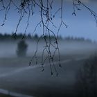 Abendnebel auf der Heide