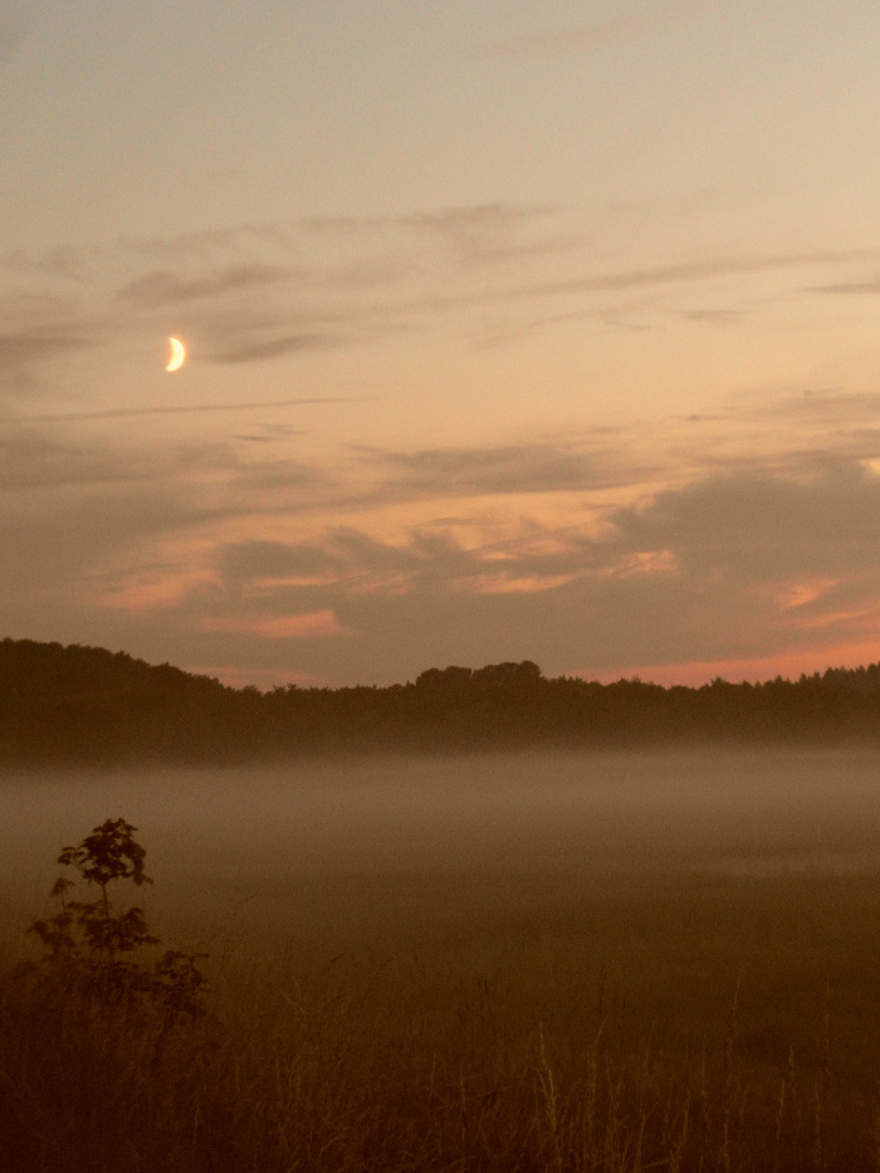 Abendnebel auf Insel Usedom