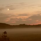 Abendnebel auf Insel Usedom