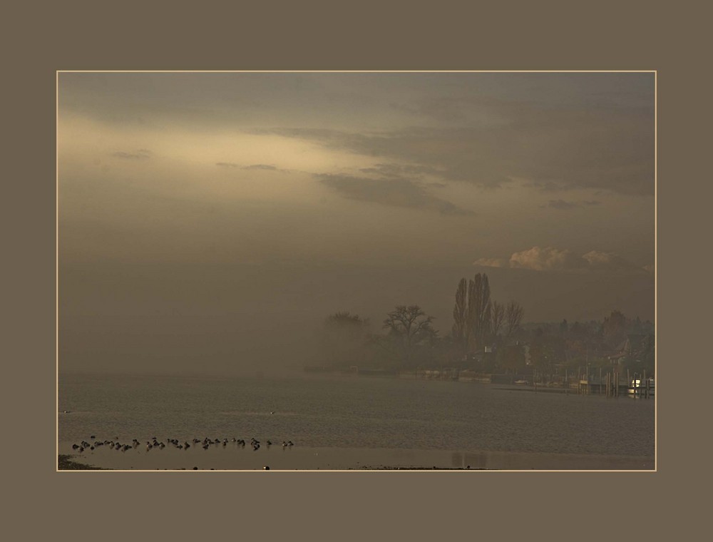 Abendnebel bei Allensbach