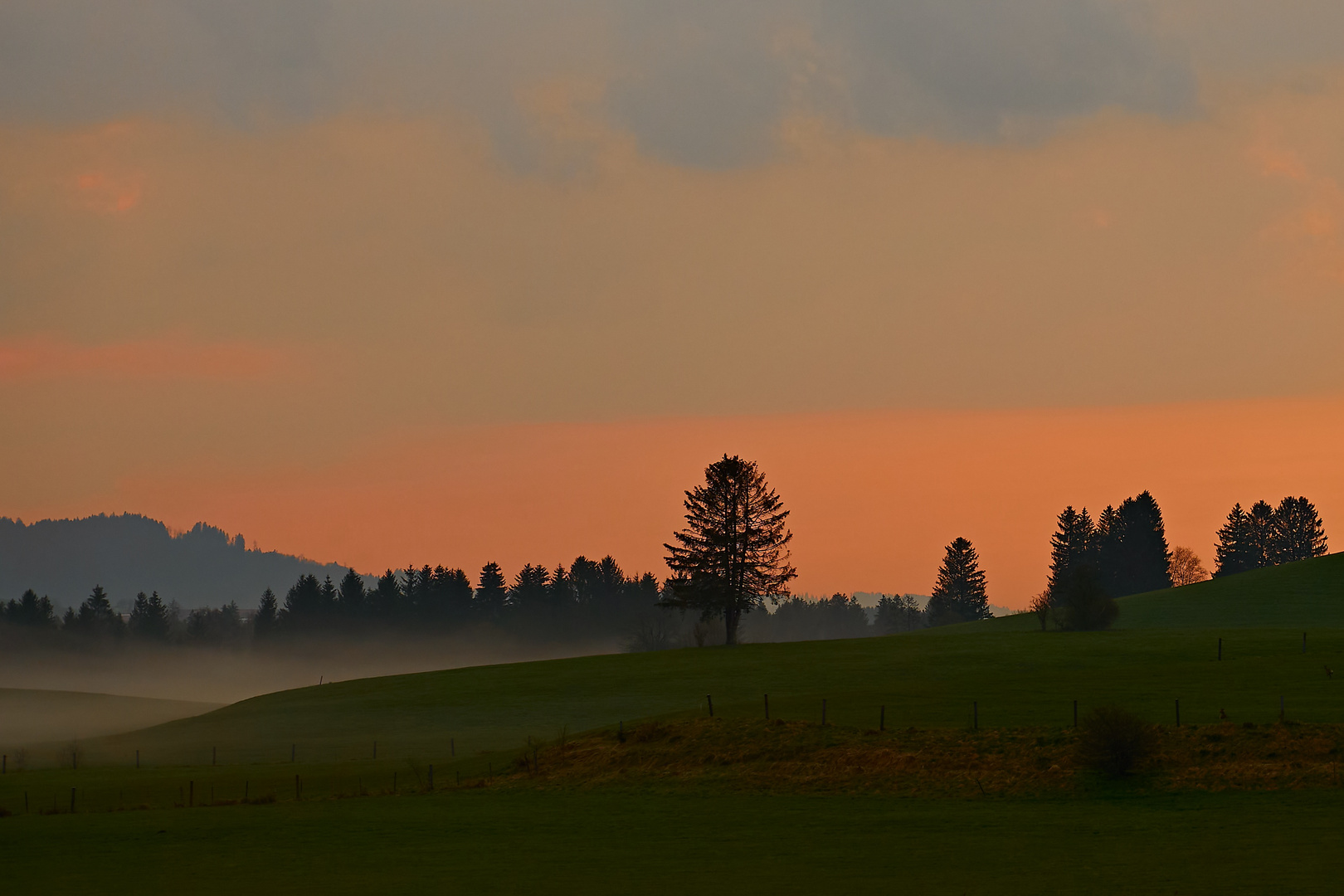 Abendnebel bei Eschach