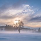 Abendnebel breitet sich aus