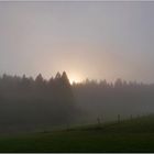 Abendnebel