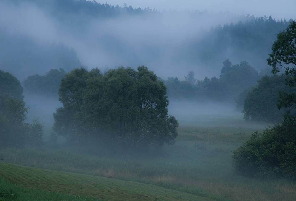 Abendnebel