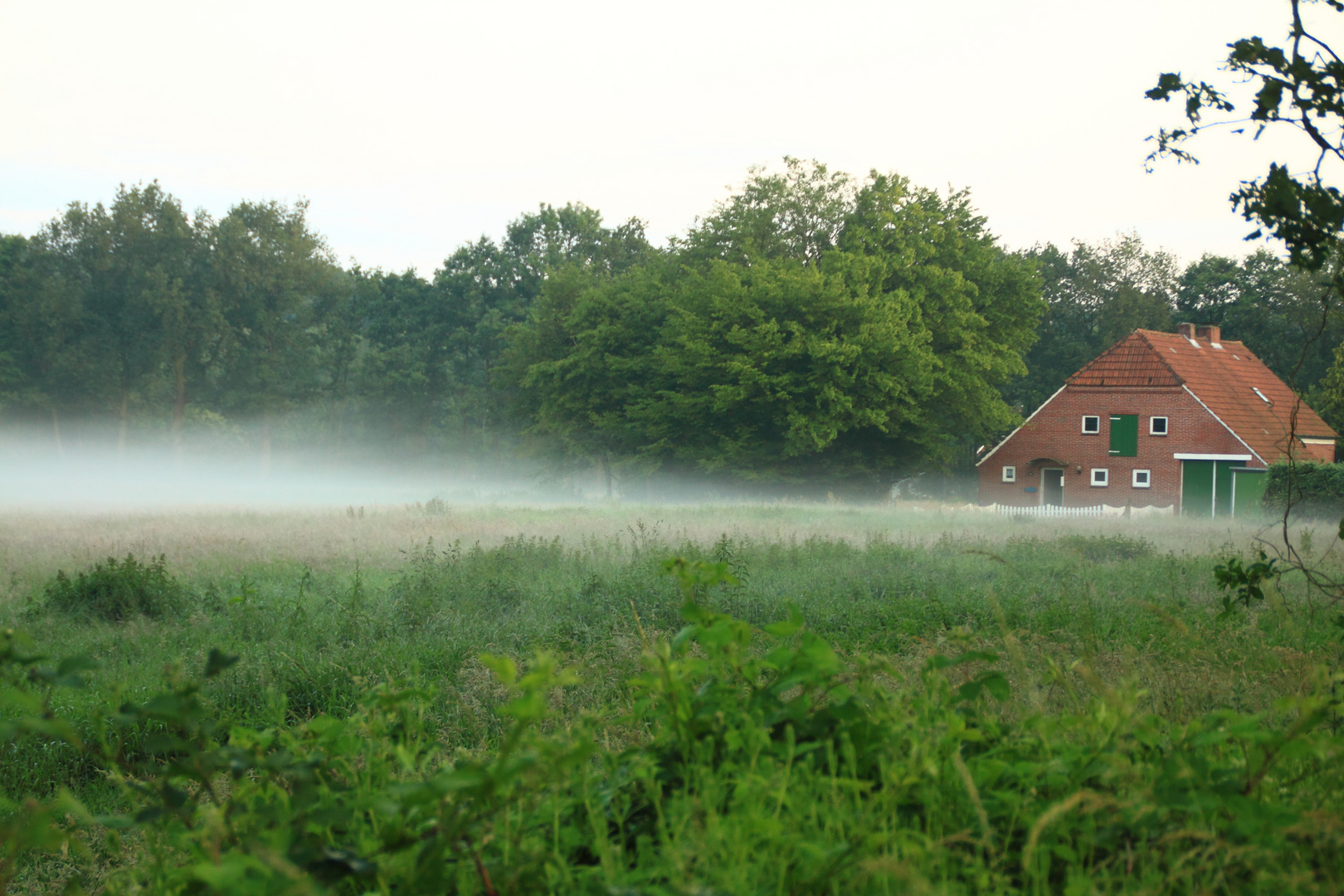 Abendnebel