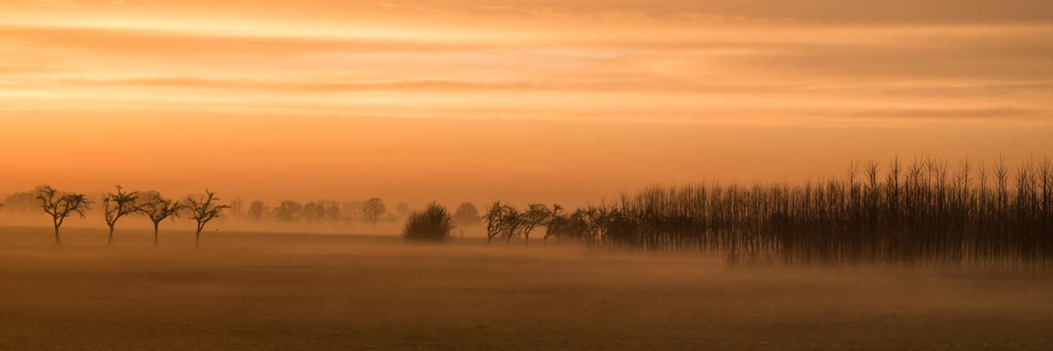 Abendnebel II