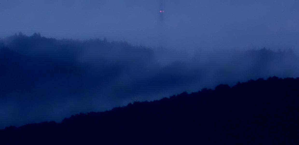 Abendnebel im Hochwald