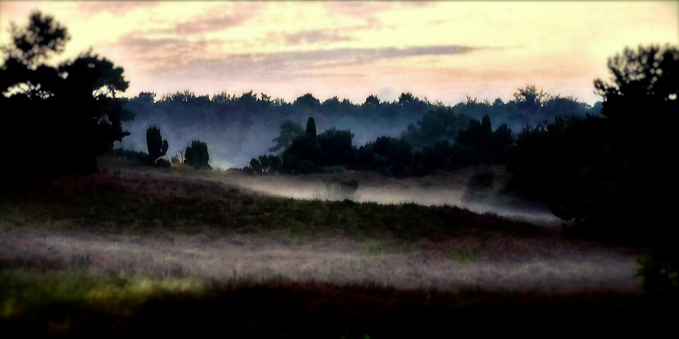 Abendnebel in der Heide