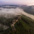 Abendnebel in der Wachau