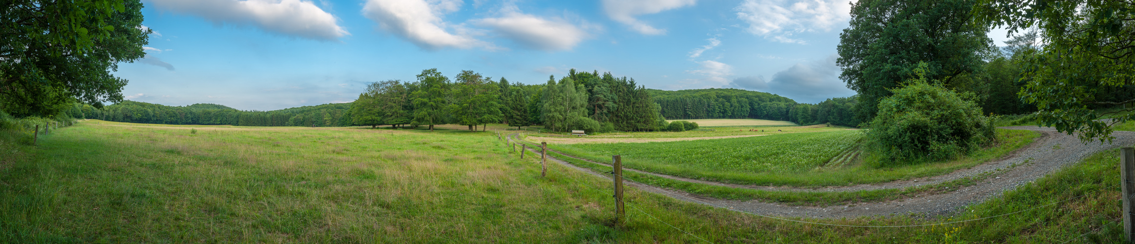 Abendpanorama