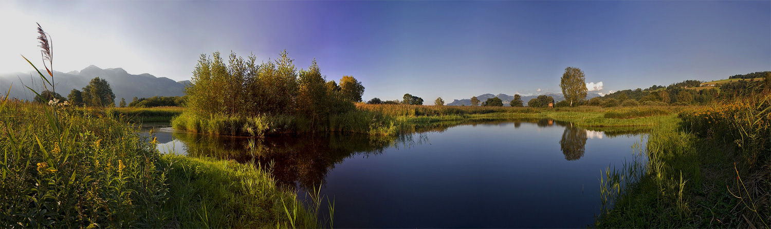 Abendpanorama im Ruggeller Riet