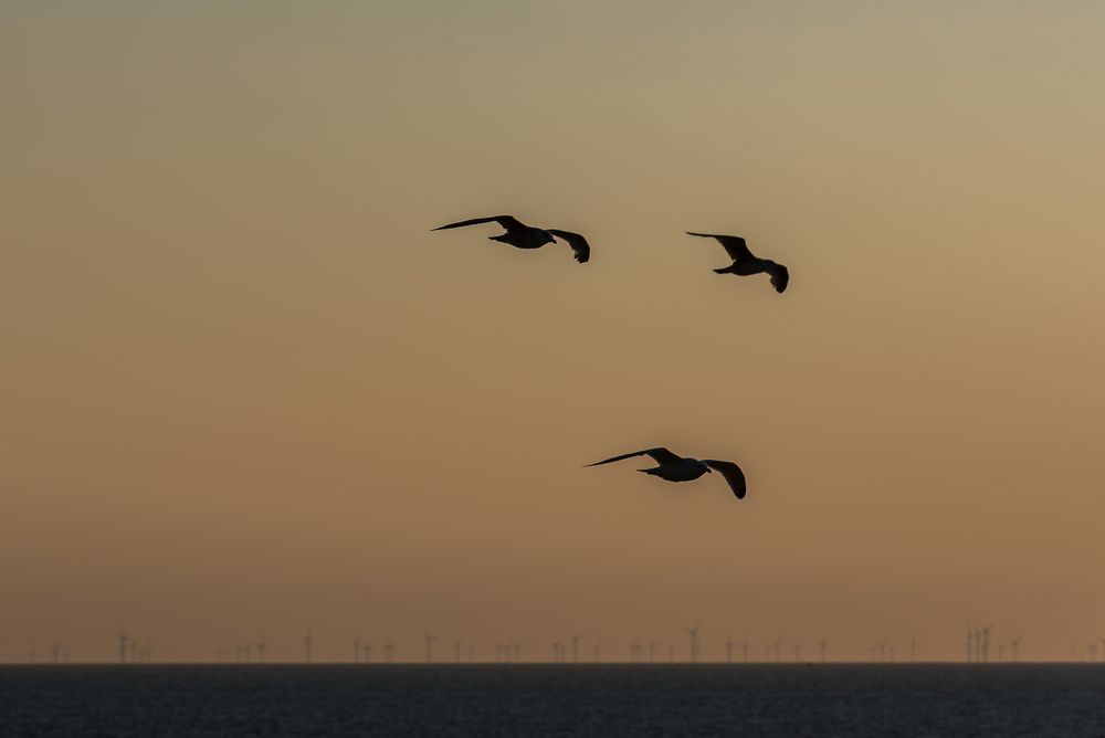 Abendpatrouille 