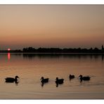 Abendpatrouille auf dem Chiemsee