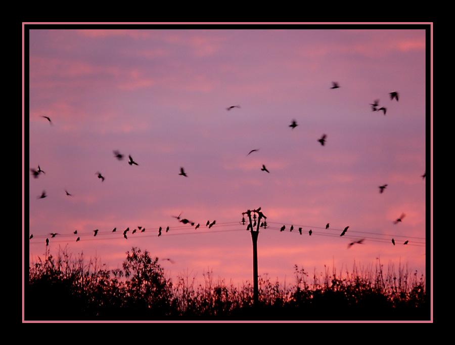 ....Abendrast auf der grossen Reise....