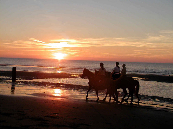 Abendreiter am Strand................