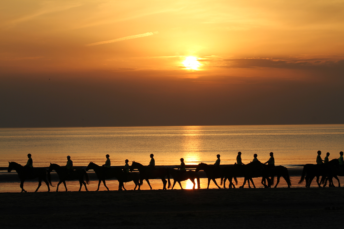 Abendritt am Strand von Nordwijk