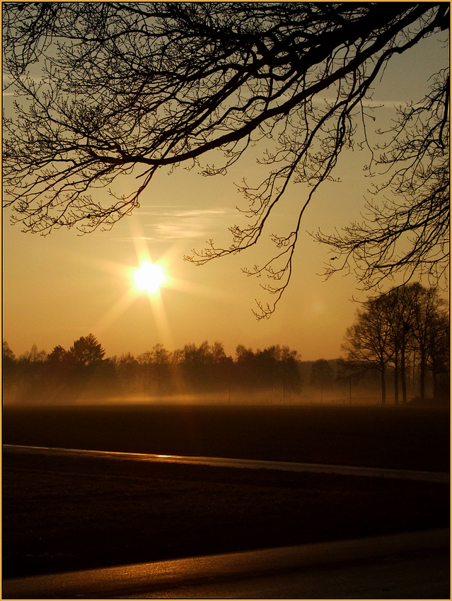 Abendröte