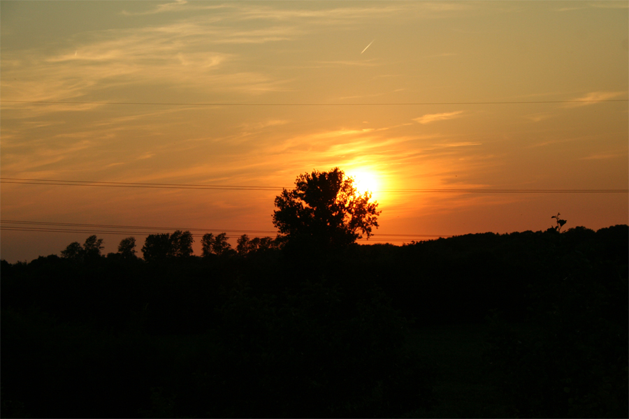 Abendröte