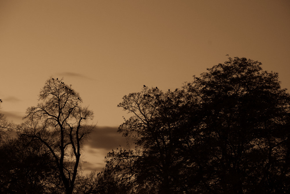 Abendröte am Horizont