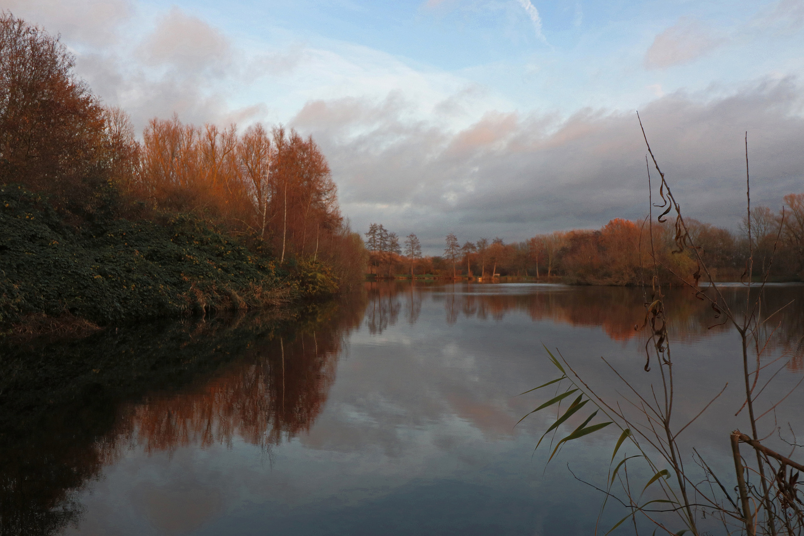 Abendröte am Teich