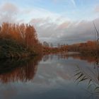 Abendröte am Teich