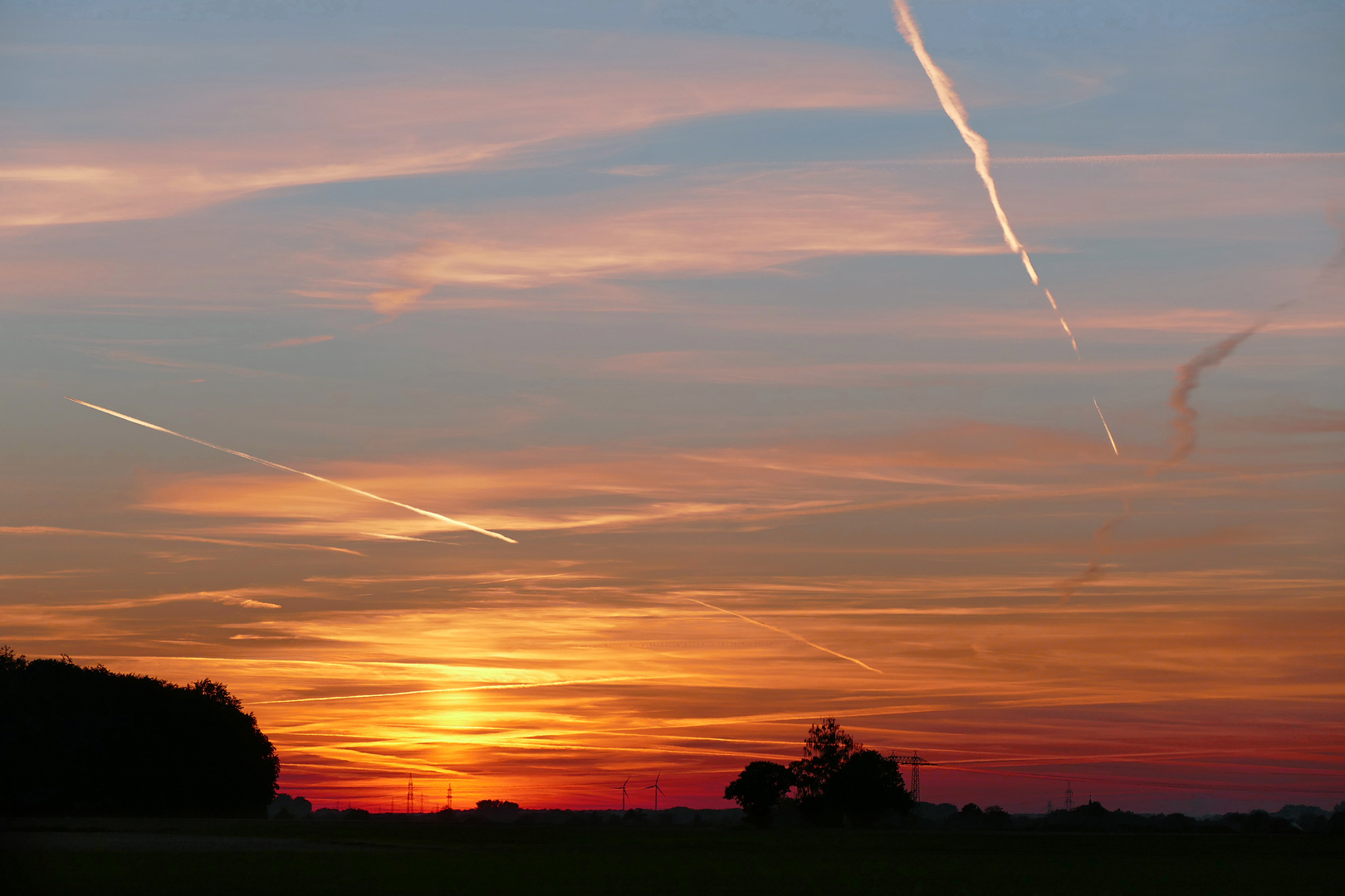 Abendröte am Waldrand