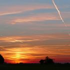 Abendröte am Waldrand