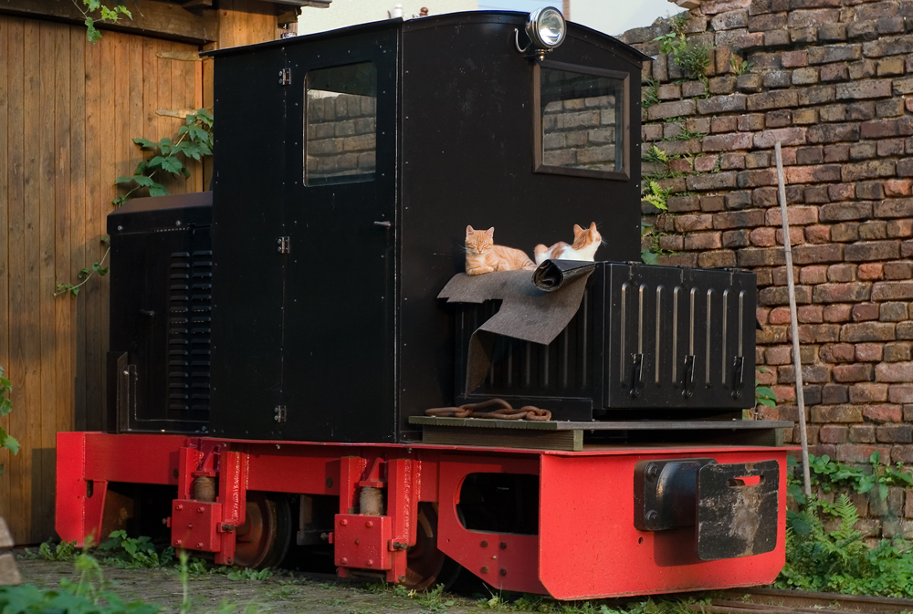 Abendröte auf der Feldbahn