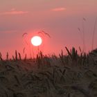 Abendröte beim Sonnenuntergang