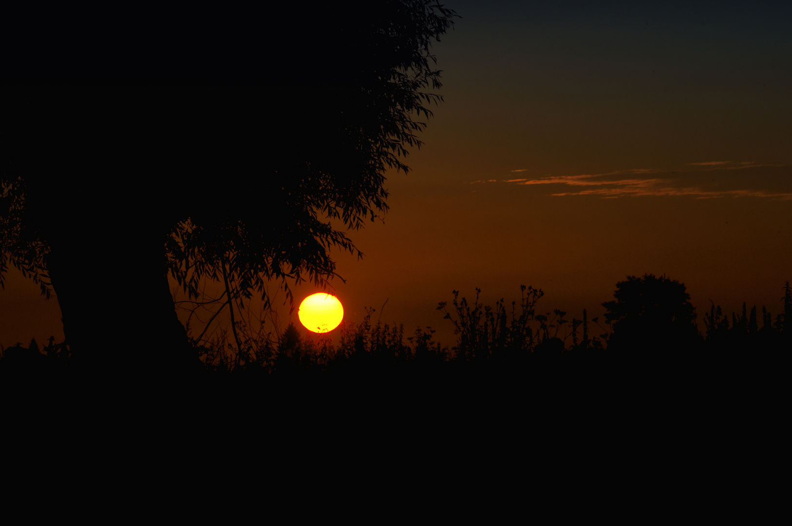 Abendröte