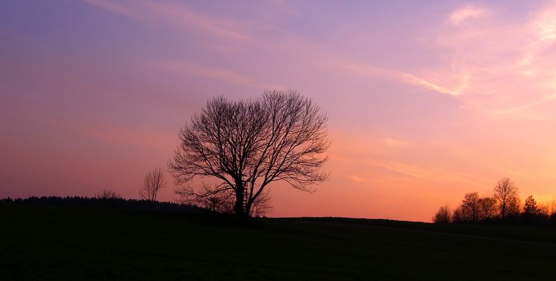 Abendröte