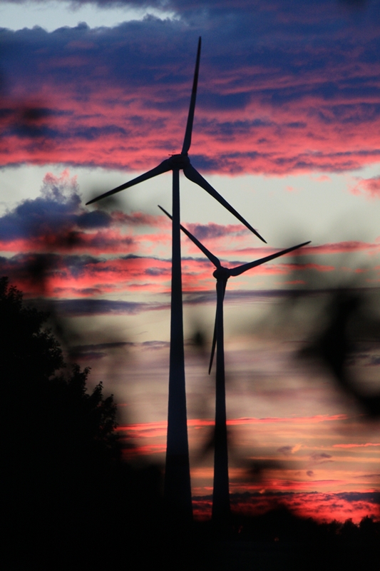 Abendröte hinter den Windrädern