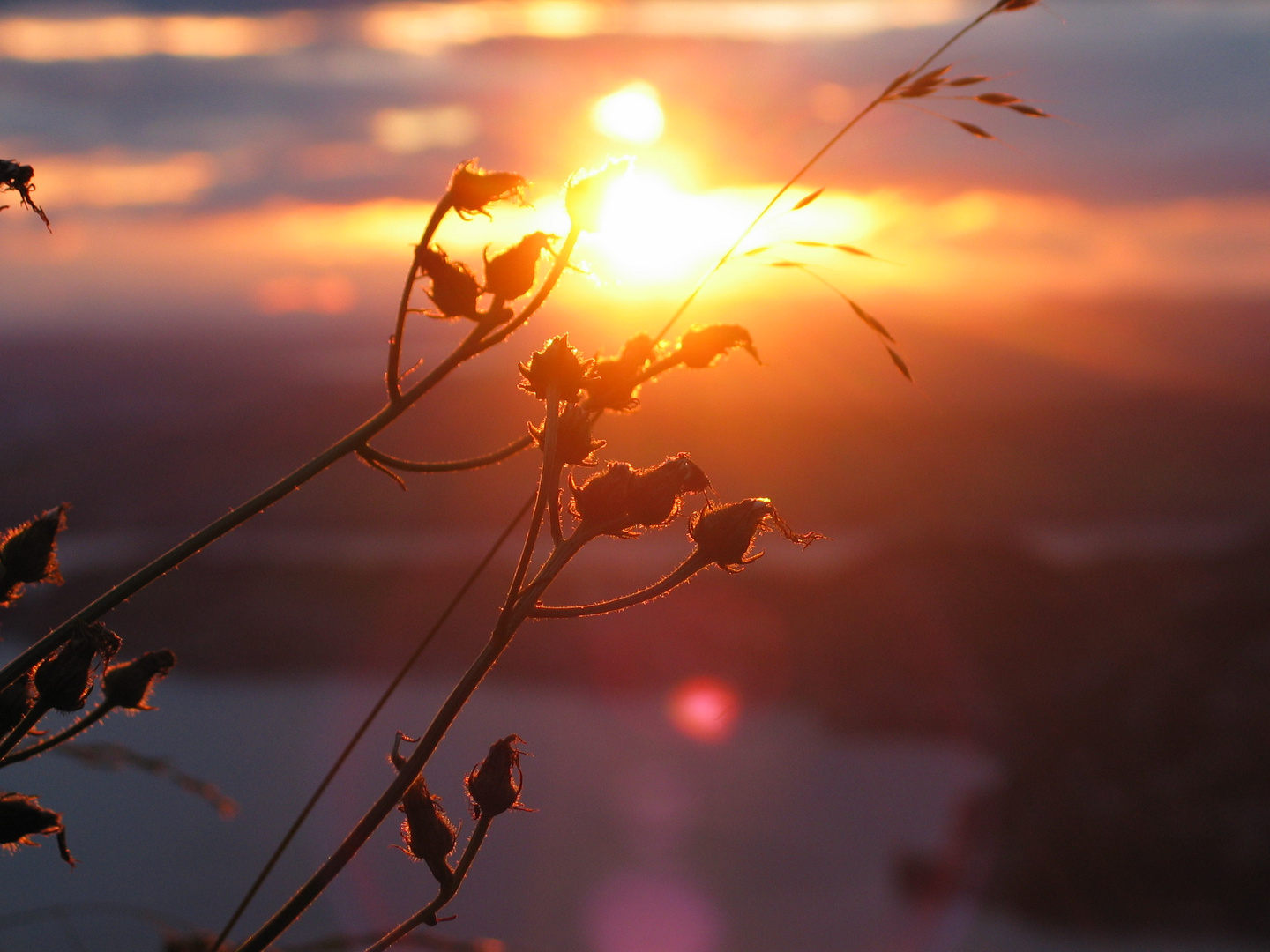 Abendröte über der Zentralschweiz