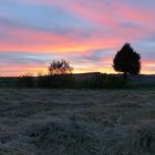 Abendromantik beim Mähen und Dreschen im Weserbergland